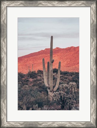 Framed Sunsets and Saguaros I Print