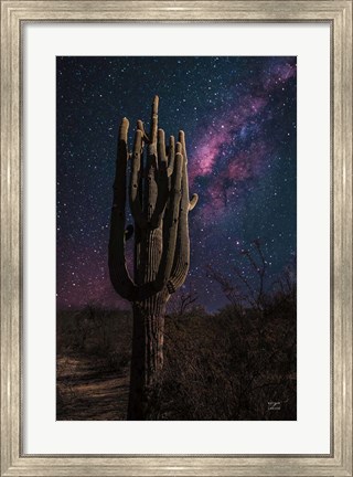Framed Desert Nights Print