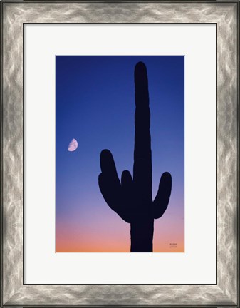 Framed Candy Rock Desert Print