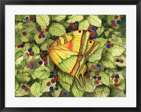Framed Bountiful Butterfly Print