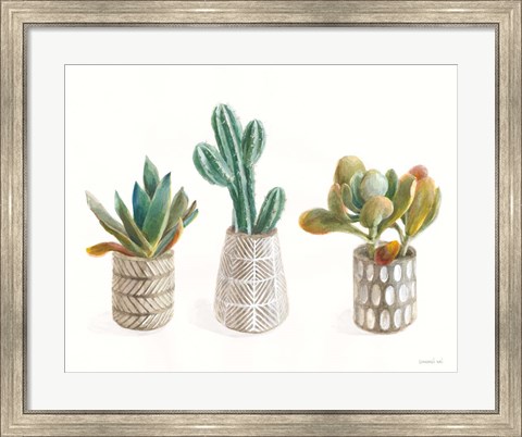 Framed Desert Greenhouse VI Print