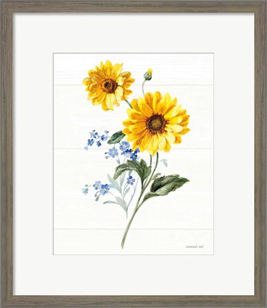 Framed Bees and Blooms Flowers V Print