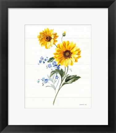 Framed Bees and Blooms Flowers V Print
