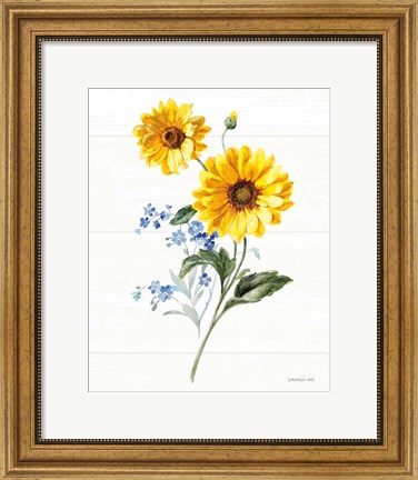 Framed Bees and Blooms Flowers V Print