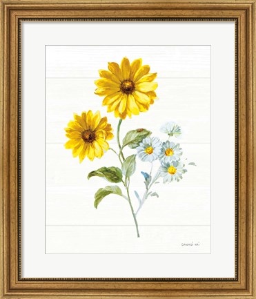 Framed Bees and Blooms Flowers IV Print