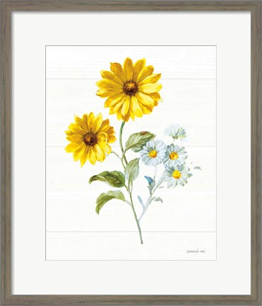 Framed Bees and Blooms Flowers IV Print