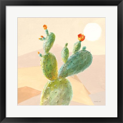 Framed Desert Greenhouse IV Print
