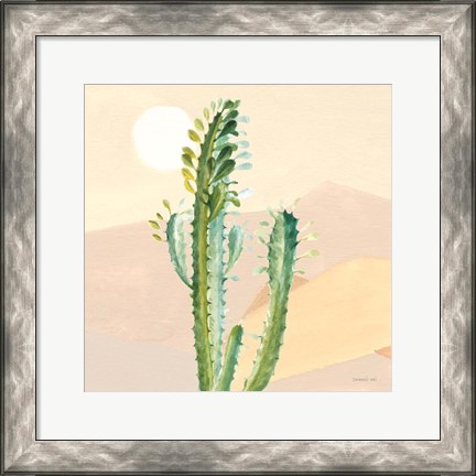 Framed Desert Greenhouse II Print