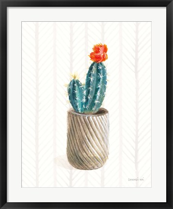 Framed Desert Greenhouse XI Print