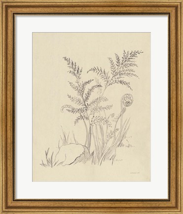 Framed Vintage Nature Sketchbook VI Print