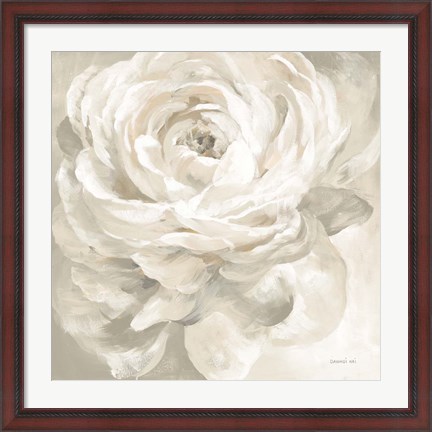 Framed White Rose Gray Print
