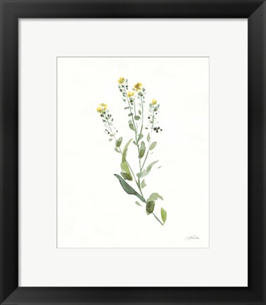 Framed Flowers of the Wild IV Print