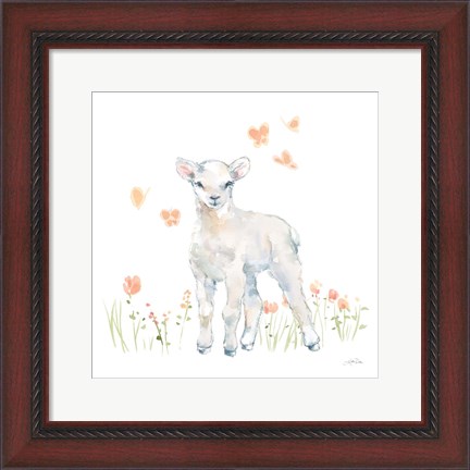 Framed Spring Lambs II Print