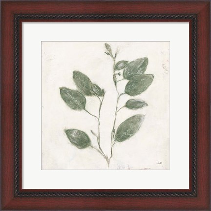 Framed Plantlife II Green Print