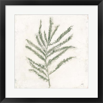 Framed Plantlife I Green Print