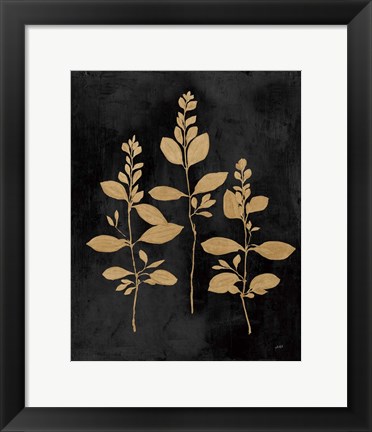 Framed Botanical Sutdy IV GB Print