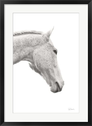 Framed Horse Named Lady I BW Print