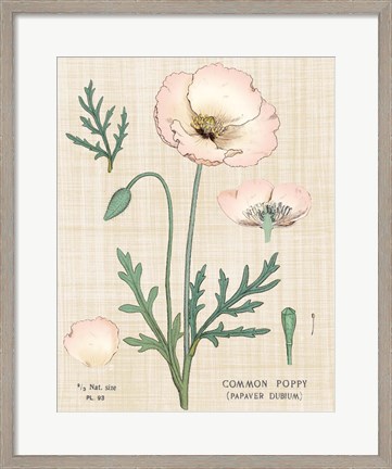 Framed Poppy Chart Linen Print