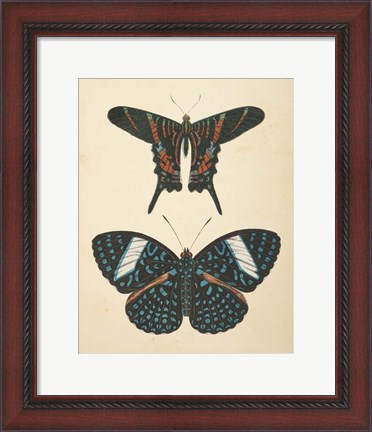 Framed Papillons II Print