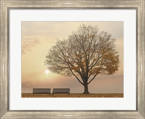 Framed Golden Riverfront Sunrise Print