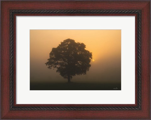 Framed Solitary Oak Print