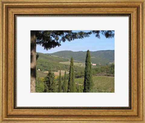 Framed My Tuscany Print