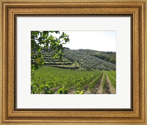 Framed Tuscan Hills Print