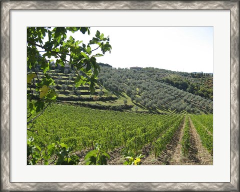 Framed Tuscan Hills Print