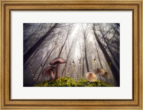 Framed Small and Giant Creatures of the Woods Print