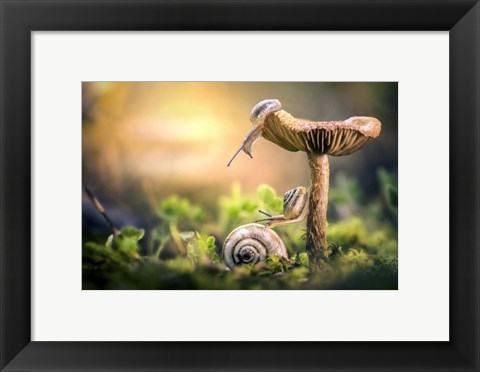 Framed Awakening of Snails Print