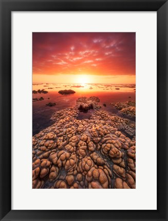 Framed Low Tide on the Lagoon of Saint Leu Print