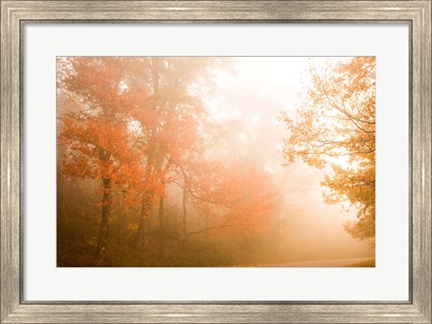 Framed Beyond The Fog Print