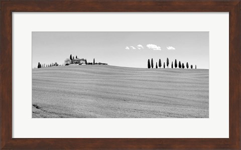 Framed Strada del Brunello, Tuscany (BW) Print