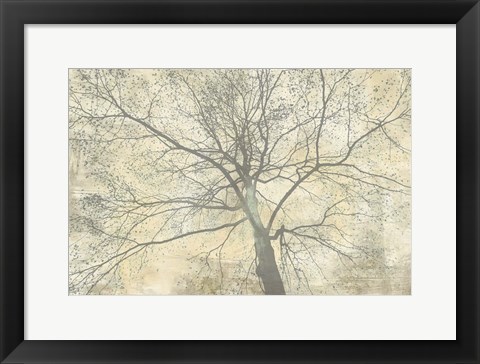 Framed Below My Tree II Print