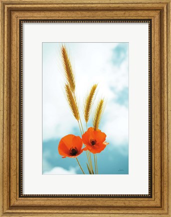 Framed Wild Poppies Print
