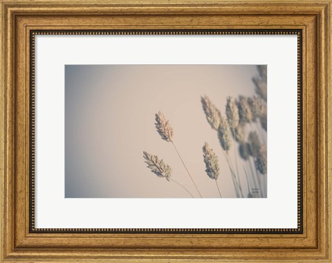 Framed Dried Grass Study Print