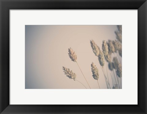 Framed Dried Grass Study Print