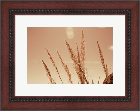 Framed Lakeside Grasses VI Print