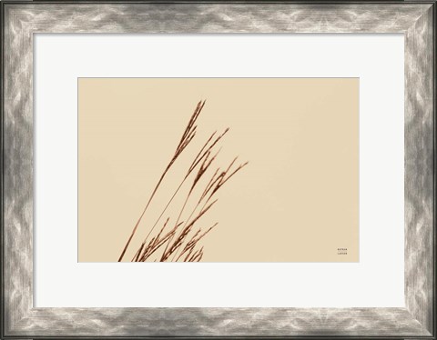 Framed Lakeside Grasses IV Print