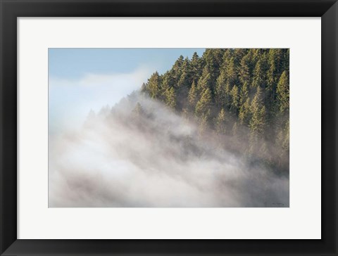 Framed Fog and Forest I Print