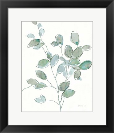 Framed Transparent Branch Eucalyptus Print