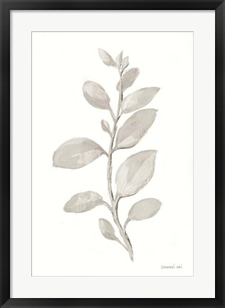 Framed Gray Sage Leaves II on White Print