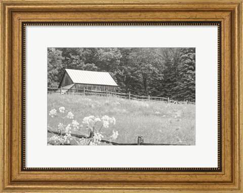 Framed Summer Farm I BW Print