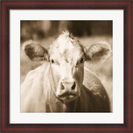 Framed Pasture Cow Sepia Sq Print