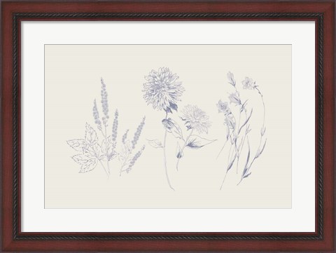 Framed Flowers on White VIII Blue Print