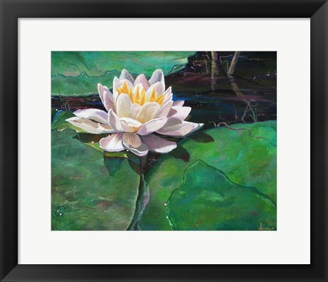 Framed Lily Print