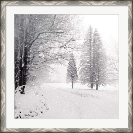 Framed Let it Snow II BW No Words Print