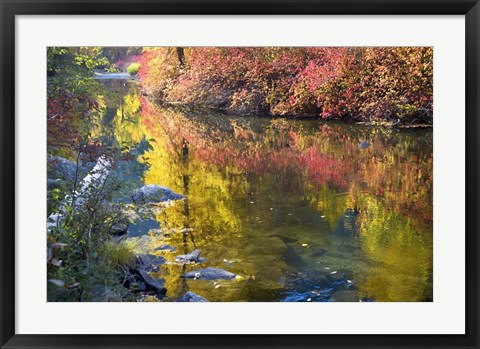 Framed Deep Fall Colors, Wenatchee River, Washington State Print
