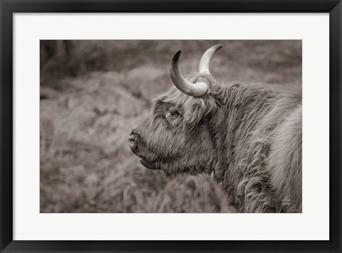 Framed Highland Cow on Watch Print