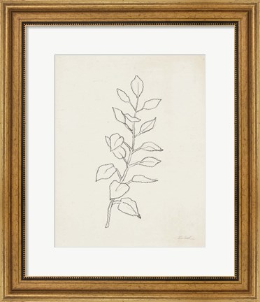 Framed August Branch I Print